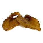 Guía de compra: Oreja de mar retro, descubre las mejores opciones del mercado
